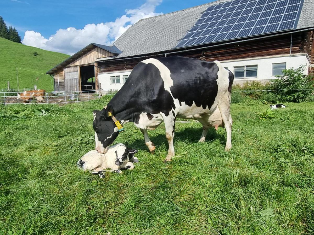 Ferienwohnung Kulmerhof - Farm Pruggern Exterior foto